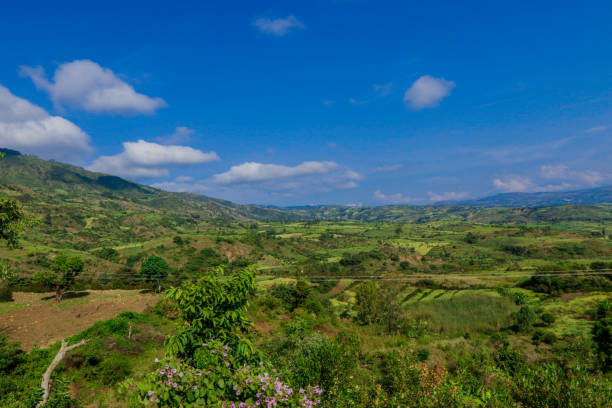 istock Panoramic View to the Green Trees and Mountains 1362686230