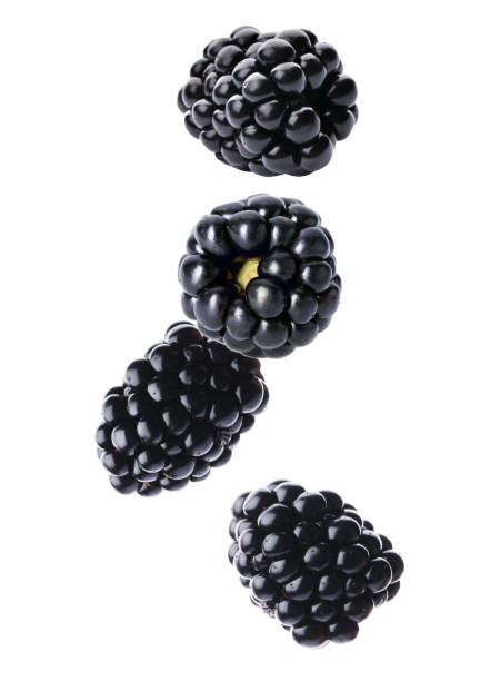 istock Fresh tasty blackberries falling on white background 1362686304