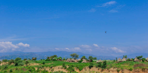istock Panoramic View to the Green Trees and Mountains 1362686331