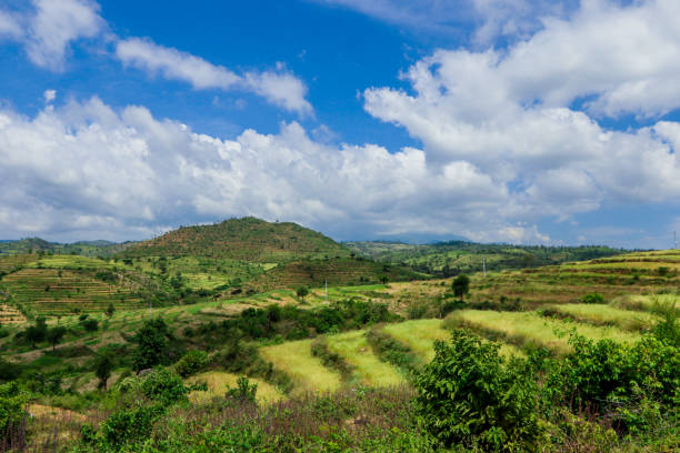 istock Panoramic View to the Green Trees and Mountains 1362686370