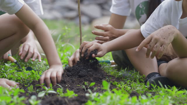 Close up hand of children planting a forest as save world concept.