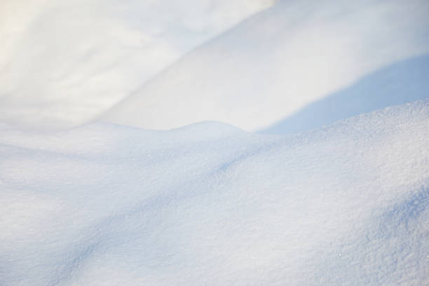 istock Winter snow background. Snowy white texture. Snowflakes. 1362690400