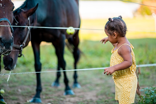 Cute little girl throwing an apple to a horse outdoors on a summer day.