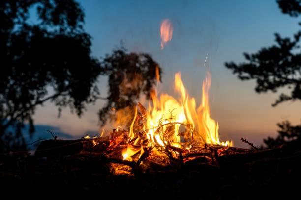 istock Campfire on a cliff by the rock next to several trees 1362693397