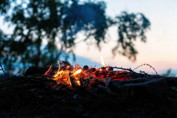istock Campfire on a cliff by the rock next to several trees 1362693403