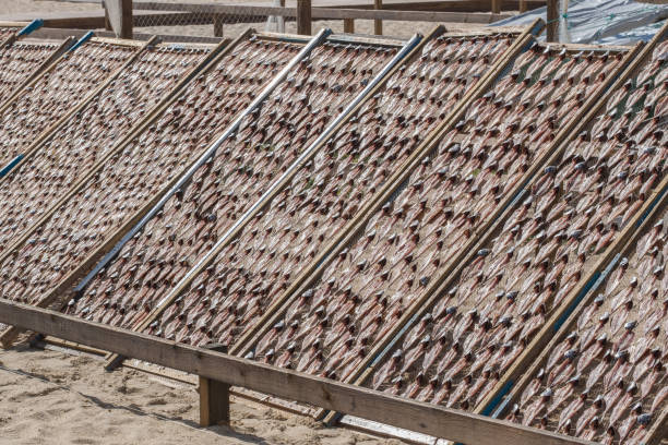 Market of sundried fish in Nazare, portugal, in the touristic beach, creating a patter while laying in the racks