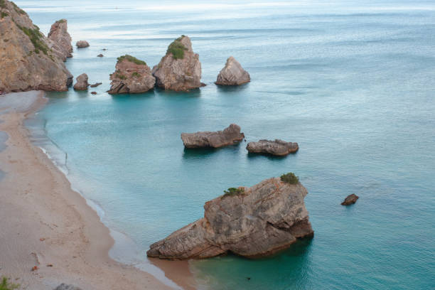 istock Tropical beach in Portugal 1362693565