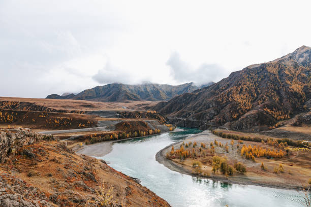istock Mountain river surrounded by high rocks in Altai 1362694527