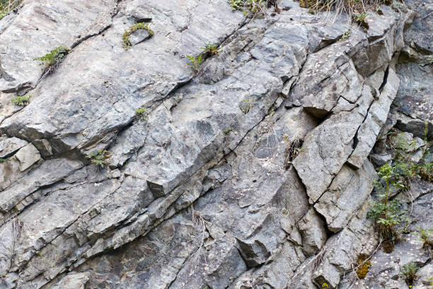 istock granite rock overgrown with grass. natural rock background 1362700481