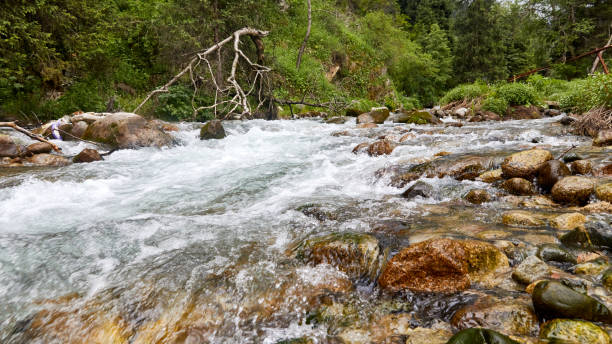 istock a mountain river flowing over rocks. blurred motion background 1362700986