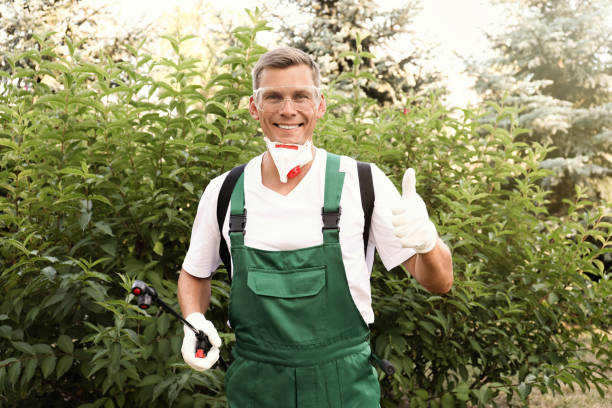 istock Worker with insecticide sprayer near green bush outdoors. Pest control 1362700995