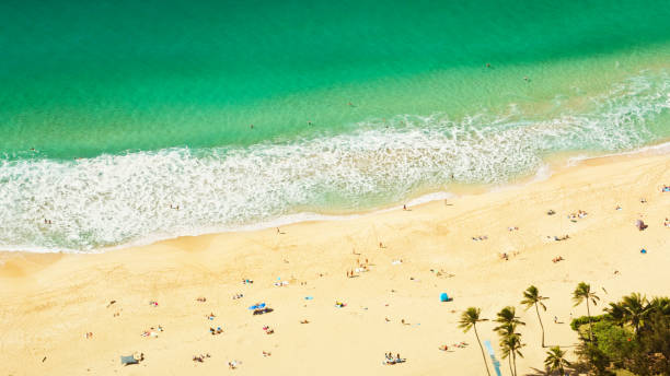 istock People sunbathing at Waimea Bay 1362704132