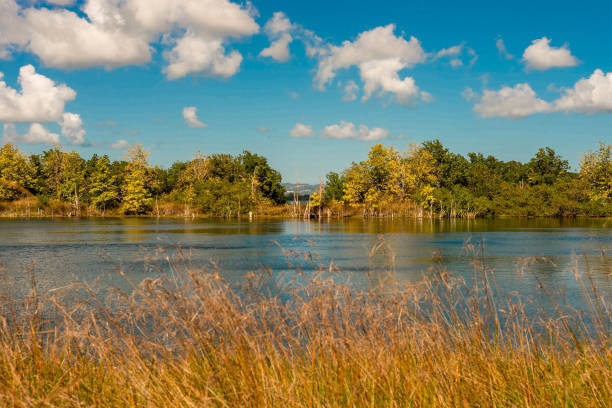 istock Lake in the Caribbean countryside 1362704832