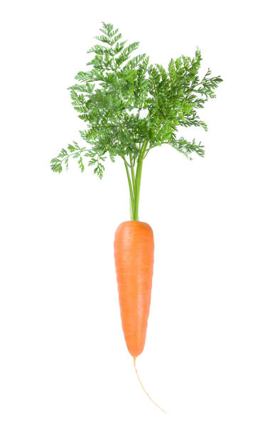 istock Carrot with leaves 1362705517