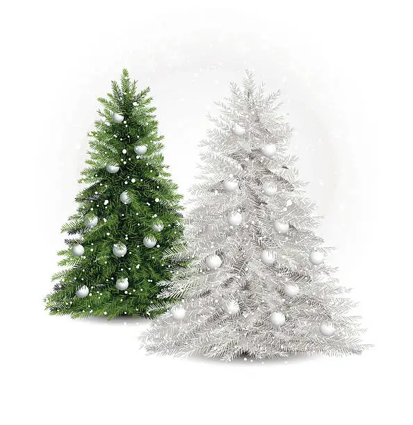 Vector illustration of white and green pine trees