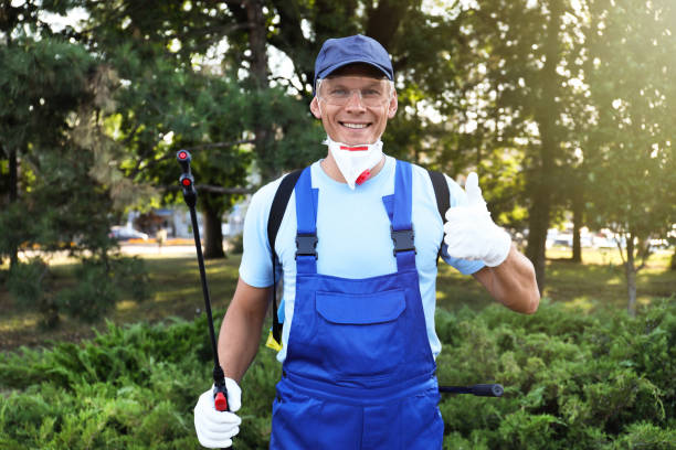 worker with insecticide sprayer near green bush outdoors. pest control - praga imagens e fotografias de stock