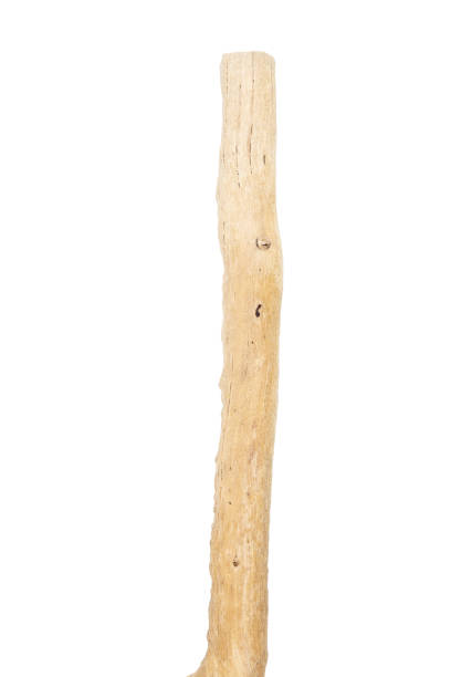 istock Part of driftwood isolated on white 1362712878