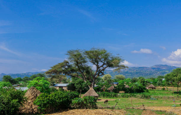 istock Panoramic View to the Tribal Wooden Dwellings 1362716607