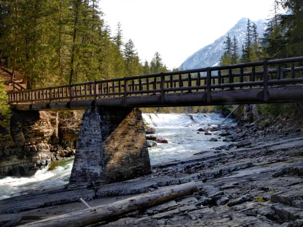 istock Hiking around Glacier National Park 1362721708
