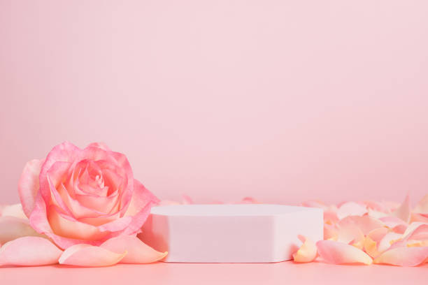 Empty podium with pink rose flowers on pink background to display products, gift or cosmetics Empty podium with pink rose flowers on pink background to display products, gift or cosmetics. Podium with copy space for design or advertising makeup product photography stock pictures, royalty-free photos & images