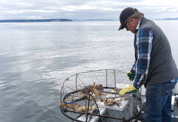 istock Fisherman and crab trap 1362723439