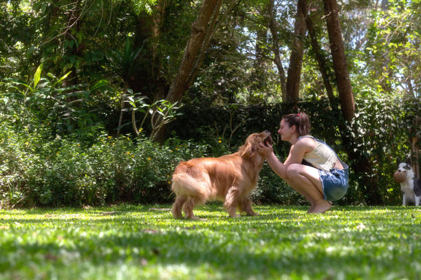 mujer jugando con el perro en un parque - dog lawn grass front or back yard fotografías e imágenes de stock