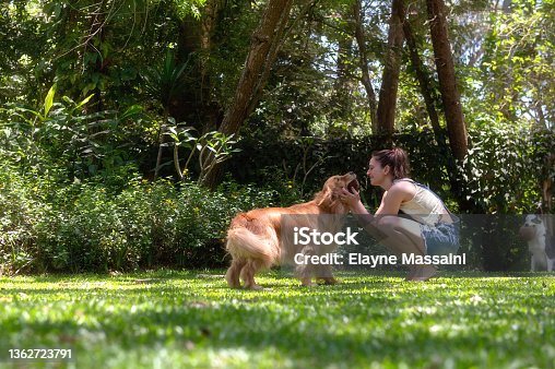 istock woman playing with the dog in a park 1362723791