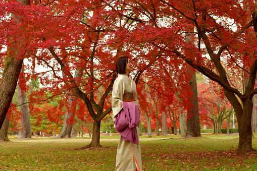 A Japanese woman in her early 60's is enjoying beautiful autumn leaf color in a public park of Kyoto, Japan.