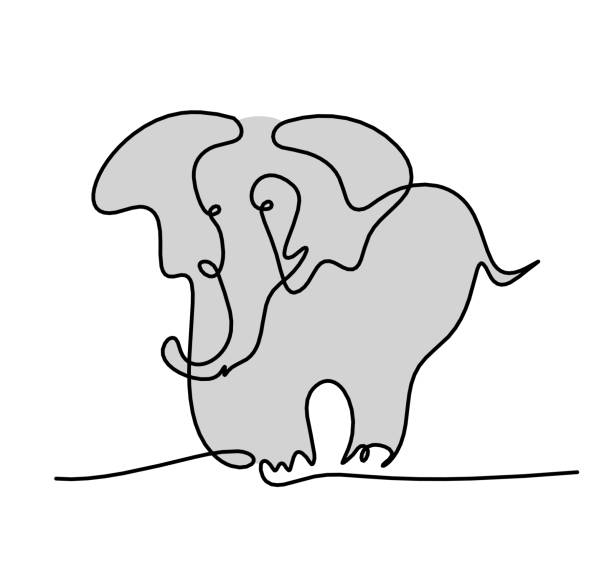 istock Silhouette of color abstract elephant as line drawing on white 1362737009