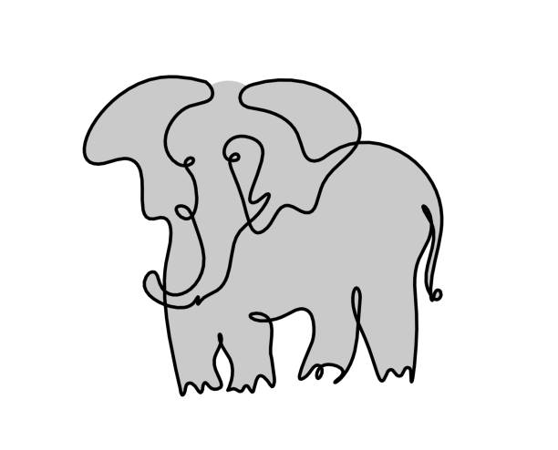 istock Silhouette of color abstract elephant as line drawing on white 1362737182