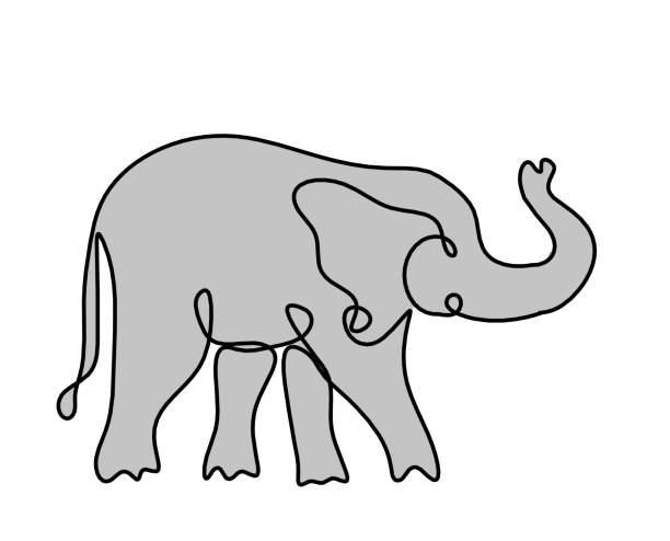 ilustrações de stock, clip art, desenhos animados e ícones de silhouette of color abstract elephant as line drawing on white - detent