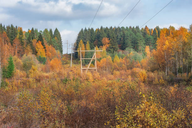 High-voltage wooden towers on autumn forest background.
