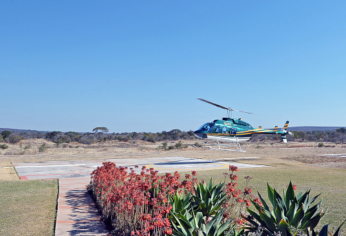 Helicopter landing near Victoria falls and the Zambesi, Botswana and Zimbabwe border, Southern Africa. Much of landlocked Zimbabwe remains undeveloped and a mix of bush with semi-fertile land with scattered forests that each occupy approx 40% of land mass. The Zambezi river forms a natural boundary with Zambia with the massive Victoria Falls forming the world's largest curtain of falling water.