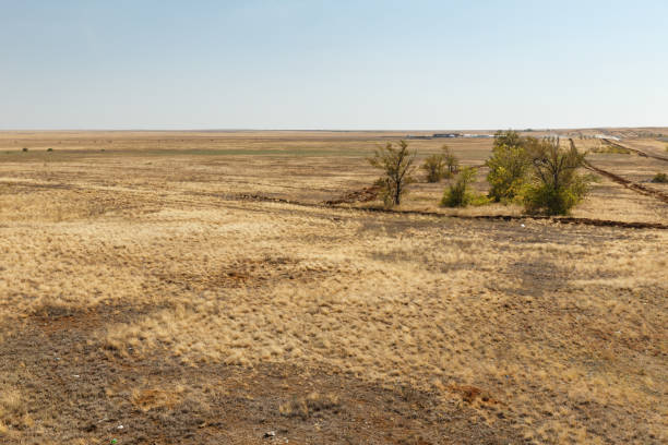 steppe in Kazakhstan