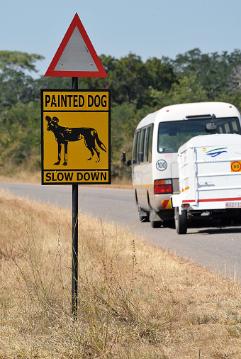 Wild or Painted Dog warning sign on the road between Victoria falls and Hwange National Park, western Zimbabwe, Southern Africa. Much of landlocked Zimbabwe remains undeveloped and a mix of bush with semi-fertile land with scattered forests that each occupy approx 40% of land mass. The Zambezi river forms a natural boundary with Zambia with the massive Victoria Falls forming the world's largest curtain of falling water.