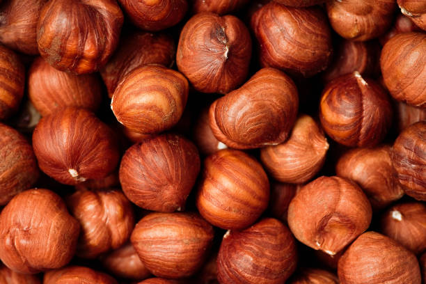 peeled hazelnuts top view - healthy eating macro close up nut imagens e fotografias de stock