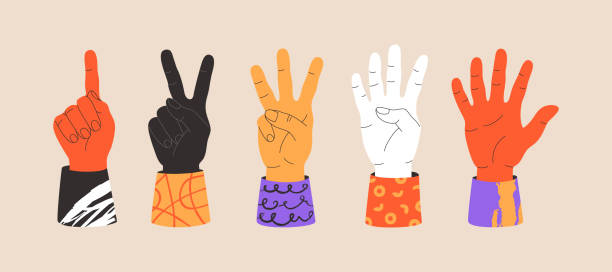 ilustrações, clipart, desenhos animados e ícones de conjunto de gestos humanos mãos diferentes nacionalidades, mostrando dedos para contar de um a cinco - four in hand