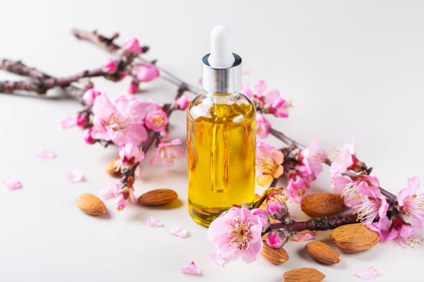 istock Almond essential oil in a bottles with spring blossom branches 1362748080