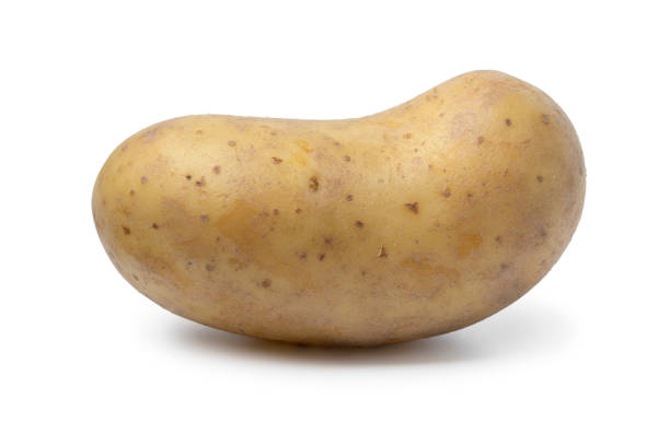 istock Single fresh raw Levante potato on white background 1362748727
