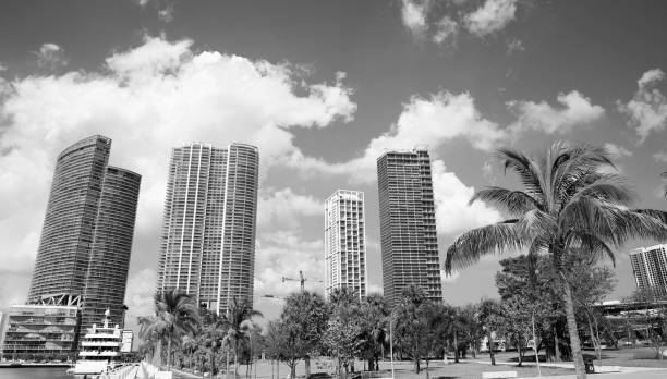 istock Miami downtown, Florida, USA. 1362752208