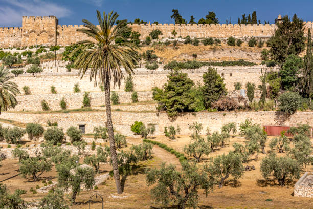 muralla de la ciudad vieja de jerusalén - jerusalem middle east architecture jerusalem old city fotografías e imágenes de stock