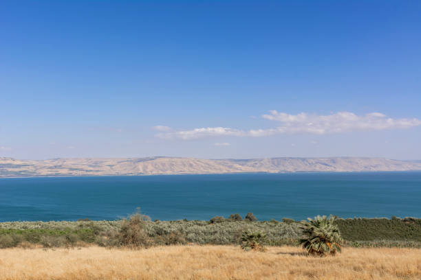 The Sea of Galilee The Sea of Galilee, also called Lake Tiberias, Kinneret or Kinnereth is a freshwater lake in Israel. sea of galilee stock pictures, royalty-free photos & images