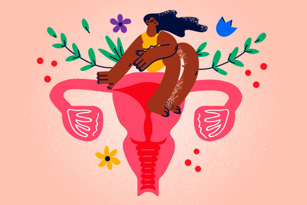 Woman sit on uterus with flowers Woman sit on uterus with flowers show care to female health. Girl demonstrate self-love and self-care. Menstruation period and healthcare concept. Love yourself. Vector illustration. uterus stock illustrations