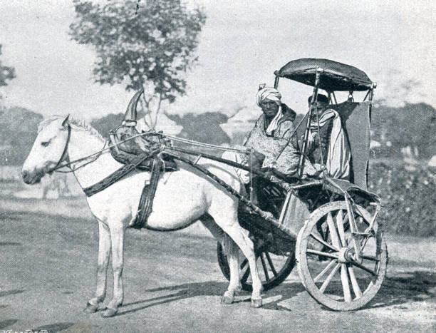 istock Native Cart Carriage used in India in 19th Century 1362759461