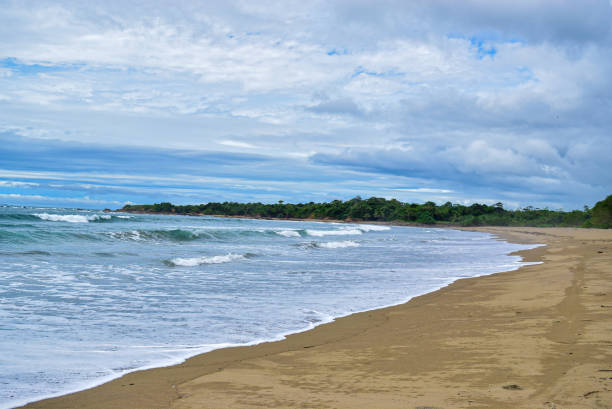 istock Beach in Pedasi, Panama 1362761306