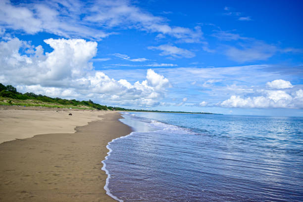 istock Beach in Pedasi, Panama 1362761354