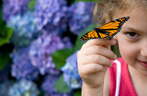 Trovare bellezza - foto stock