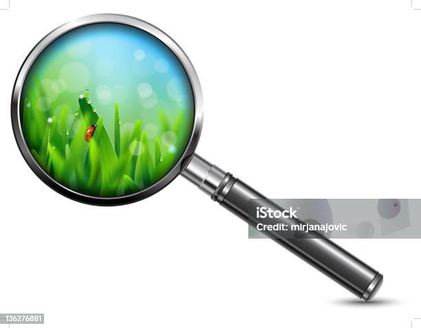 무당벌레 녹색 잔디 돋보기-광학 기기에 대한 스톡 벡터 아트 및 기타 이미지 - 돋보기-광학 기기, 풀-벼과, 배율