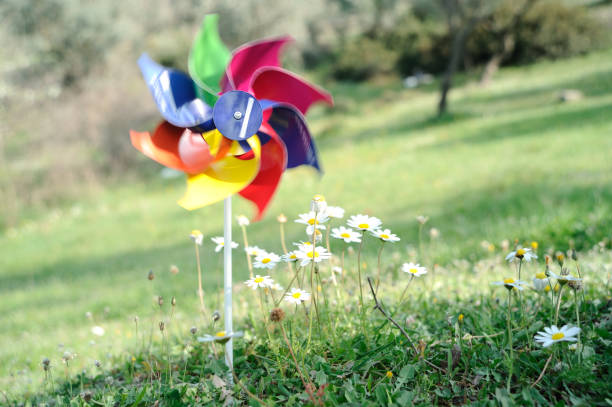 istock Colorful pinwheel in nature 136277348