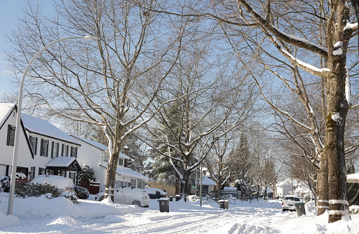 Surrey, Canada - December 30, 2021: Snow lingers on tree-lined 95th Avenue in the Fleetwood-Tynehead neighborhood of Surrey, British Columbia. Many family homes were built in the late 1980s. Garbage and organics carts line the street on collection day.